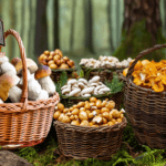 Слоёный салат с курицей и ананасами